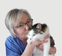 Jack (recently adopted from CATS, lying