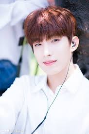 Seventeen naver x dispatch director's cut png pack. Naver X Dispatch Seventeen Dk Seventeen Mingyu Seventeen Wonwoo