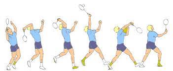 Badminton clear is one of the basic shots used in badminton and it is very important for you to have a clear understanding of these shots and also where to use them in a match to score a point. How To Play Clear Shot In Badminton Easy Guide With Pictures