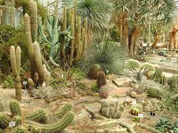 Aktivitäten in der nähe von botanische gärten der universität bonn. Botanischer Garten Picture Of Botanical Garden Bonn Tripadvisor