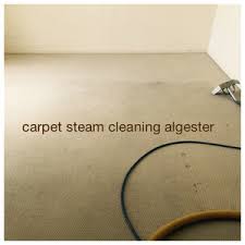 As it gets warmer you may notice more unwelcome guests outside and inside your office. Barry S Carpet Cleaning Pest Control In Redland Bay Brisbane Qld Cleaning Truelocal