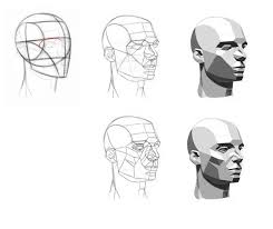 Asaro S Planes Of The Head By Aliciane Anatomy Drawing Human Anatomy Drawing Planes Of The Face