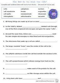 We did not find results for: Free Printable Cells Worksheets Fill In The Blanks Biology Cytology Fun Biology Worksheet Cells Worksheet Science Worksheets