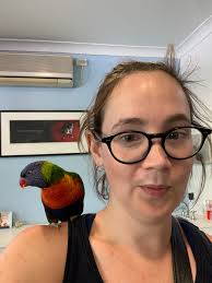 Lost blue ring neck birds found in Mosman