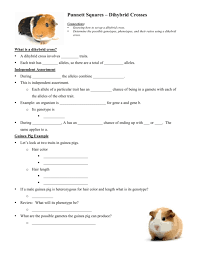 The various possible combinations of their gametes are encapsulated in a. How To Do A Genotypic Ratio For A Dihybrid Cross
