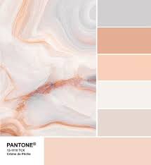 Pantone 12 1110 Creme De Peche Palette Pantone Colour Palettes Color Palette Design Pastel Colour Palette