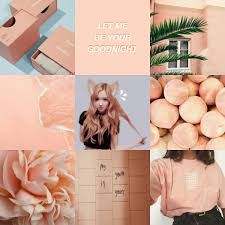 Aesthetic Black And Pink Roses Pin By Nnppss Rlkm On Peach Peach Aesthetic Black Pink Peach Art