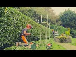 A cottage garden is less expensive than its more formal counterparts: Laurel Hedge Reduction In A Cottage Garden Youtube