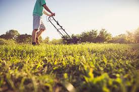 General lawn care, landscaping, and grounds maintenance insurance. Business Insurance News Lawn Care Business