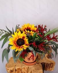 Maybe you would like to learn more about one of these? Fort Collins Florist Find A Florist In A City Near You
