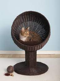 Does your feline friend like to laze outdoors in the morning sun? Kitty Ball Bed Award Winning Elevated Cat Bed The Refined Feline Pet Furniture Cat Bed Cats And Kittens
