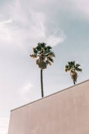 Here are the best songs about summer. 15 Playlist Covers Ideas Playlist Photo Wall Collage Playlist Names Ideas
