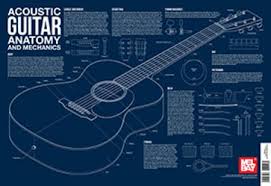 Wall Chart Acoutic Guitar Anatomy And Mechanics