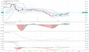 tbio stock price and chart nasdaq tbio tradingview