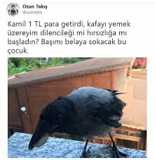 Mizah Humor Panosundaki Pin