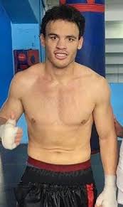 Gennady golovkin vs julio cesar chavez jr. Julio Cesar Chavez Jr Record Fights Profile Mma Fighter
