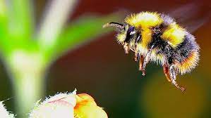 Hummel, sektördeki en eski ve kendini işine adamış takım sporu markalarından biridir. Hummel Koniginnen In Gefahr So Kannst Du Jetzt Helfen Wetter Com