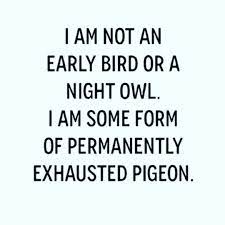 I M Not An Early Bird Or A Night Owl I Am Some Form Of Permanently Exhausted Pigeon Ventura Yoga Yoga Night Owl Quotes Quotes To Live By Exhausted Quotes