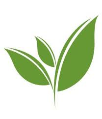 Tealeaf Tea Leaves Illustration Tea Logo Tea Illustration