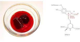 Rote bete, rote rübe) wird schon seit einigen jahrhunderten verzehrt. Prof Blumes Tipp Des Monats