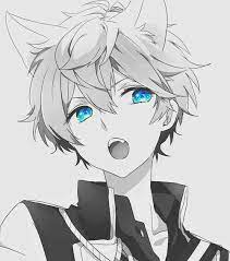 How to draw anime boy with cat ears. Pin By M M On Random Anime Cat Boy Wolf Boy Anime Anime