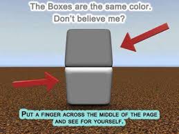 Optical Illusion Of The Day Cool Illusions Illusions Mind Illusions