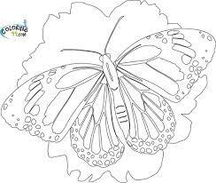 Butterfly Coloring Pages Coloring99 Com Butterfly Coloring Page Butterfly Illustration Colorful Butterflies