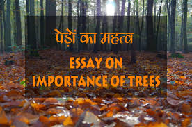 Image result for importance of trees