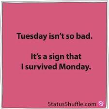 Live every day like it's taco tuesday.. 38 Tuesday Ideas Tuesday Quotes Tuesday Tuesday Humor
