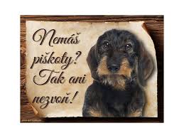 Image result for jezevčík drsnosrstý