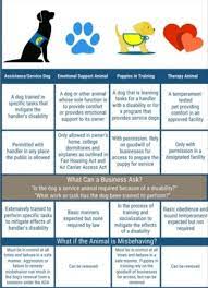 Service Dogs Vs Emotional Support Dogs Emotional Support Dog Support Dog Emotional Support