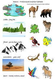 Seuss science activities for kids is animal habitat project ideas and activities! Wild Animals And Their Habitats English Esl Worksheets For Distance Learning And Physical Classrooms
