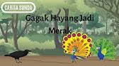 Related image with resensi novel bahasa sunda si lamsijan kaedanan. Resensi Novel Bahasa Sunda Si Lamsijan Kaedanan Bahasasunda Id Youtube
