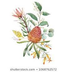 Native Images Stock Photos Vectors Shutterstock Floral Prints Art Flower Prints Art Floral Watercolor