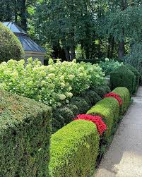 Mnogoyarusnaya Zhivaya Izgorod Dizajn Sada Rasteniya Ozelenenie