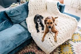 Compare prices on popular products in bedding & bath. 9 Cozy Throw Blankets For Fall Jess Ann Kirby