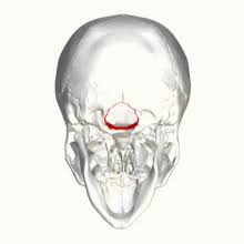 We did not find results for: Malformation D Arnold Chiari Wikipedia
