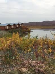 We left valdez early to travel to maclaren river lodge, this is basically the middle of nowhere. New Cabins Bild Von Maclaren River Lodge Gakona Tripadvisor