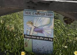 How to disinfect my dog's yard clean up any dog droppings using a plastic or metal shovel which should be thrown away or disinfected after use. Tips To Discourage Dogs From Pooping Peeing On Your Lawn