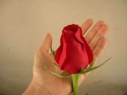 Résultat de recherche d'images pour "Una flor"