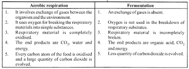 Maybe you would like to learn more about one of these? Ncert Solutions For Class 11 Biology Chapter 14 Respiration In Plants