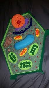 10 remarkable plant cell 3d model ideas so that anyone wouldn't ought to explore any further. 7 3 D Plant Cell Model Ideas Plant Cell Plant Cell Model Cell Model