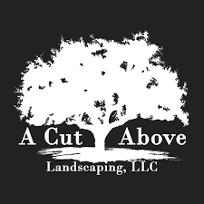 A cut above landscaping plan of action increase awareness and brand recognition 3 3 3 3 3 3 3 2 2 2 2 2 3 3 3 3 3 3 3 announcer close: A Cut Above Landscaping Llc Home Facebook