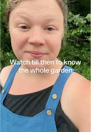 Guide to Successful Vegetable Planting Season