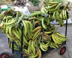Sambal goreng ikan asin yang satu ini tidak kalah nikmatnya. 10 Tips Membuat Pisang Goreng Yang Enak Dan Krispinya Tahan Lama
