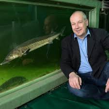 Sturgeons synonyms, sturgeons pronunciation, sturgeons translation, english dictionary definition of sturgeons. European Sturgeon Research Network Igb