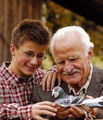Discounted price for how to breed,race,win and make money with racing pigeons thaqis a very. Who Pigeon Fanciers Really Are Winning Pigeon Racing And Racing Pigeons Strategies Pigeon Insider