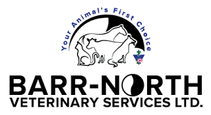 Maybe you would like to learn more about one of these? Barr North Veterinary Services Ltd Your Animal S First Choice