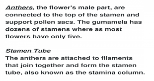 They allow you to get from one place to another easily in order to maintain the garden. Functions And Parts Of Gumamela
