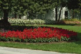 We did not find results for: Gardening In The Shade